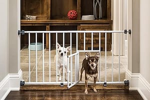 Carlson Pet Products MINI Expandable Extra Wide Pet Gate with Small Pet Door