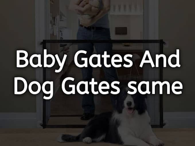 Are Baby Gates and Dog Gates the Same