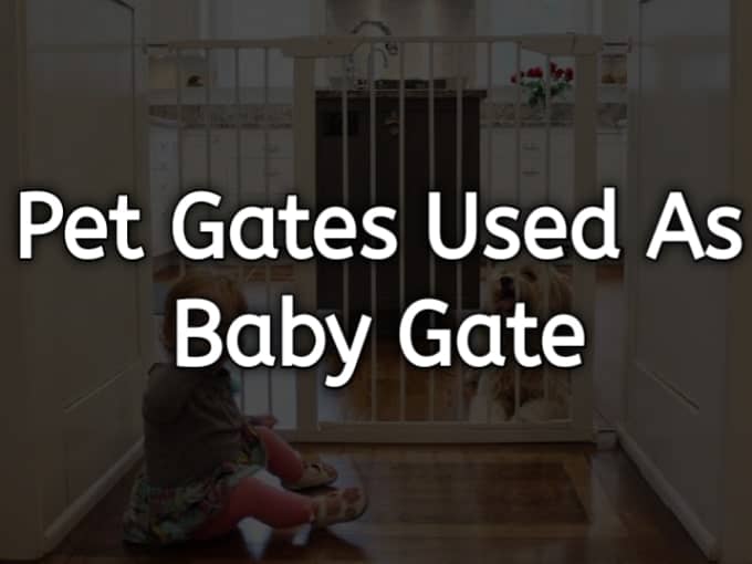 Can a Pet Gate Be Used as a Baby Gate