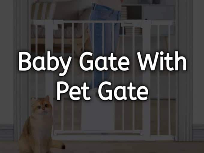 Baby Gate with Pet Door